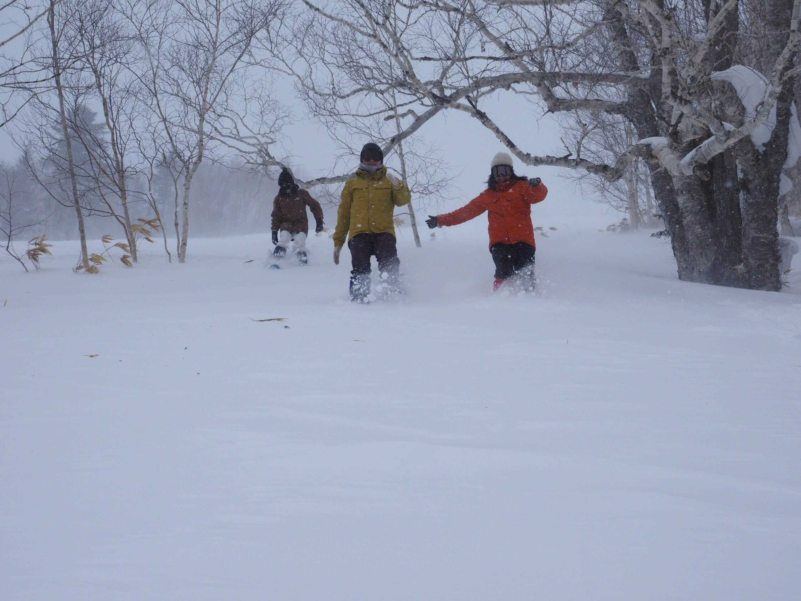 北海道占冠村雪鞋下坡健行體驗