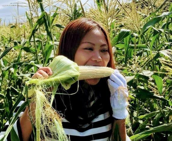 北海道美瑛季節限定玉米採收體驗＆美食午餐
