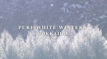 Pure White Winters