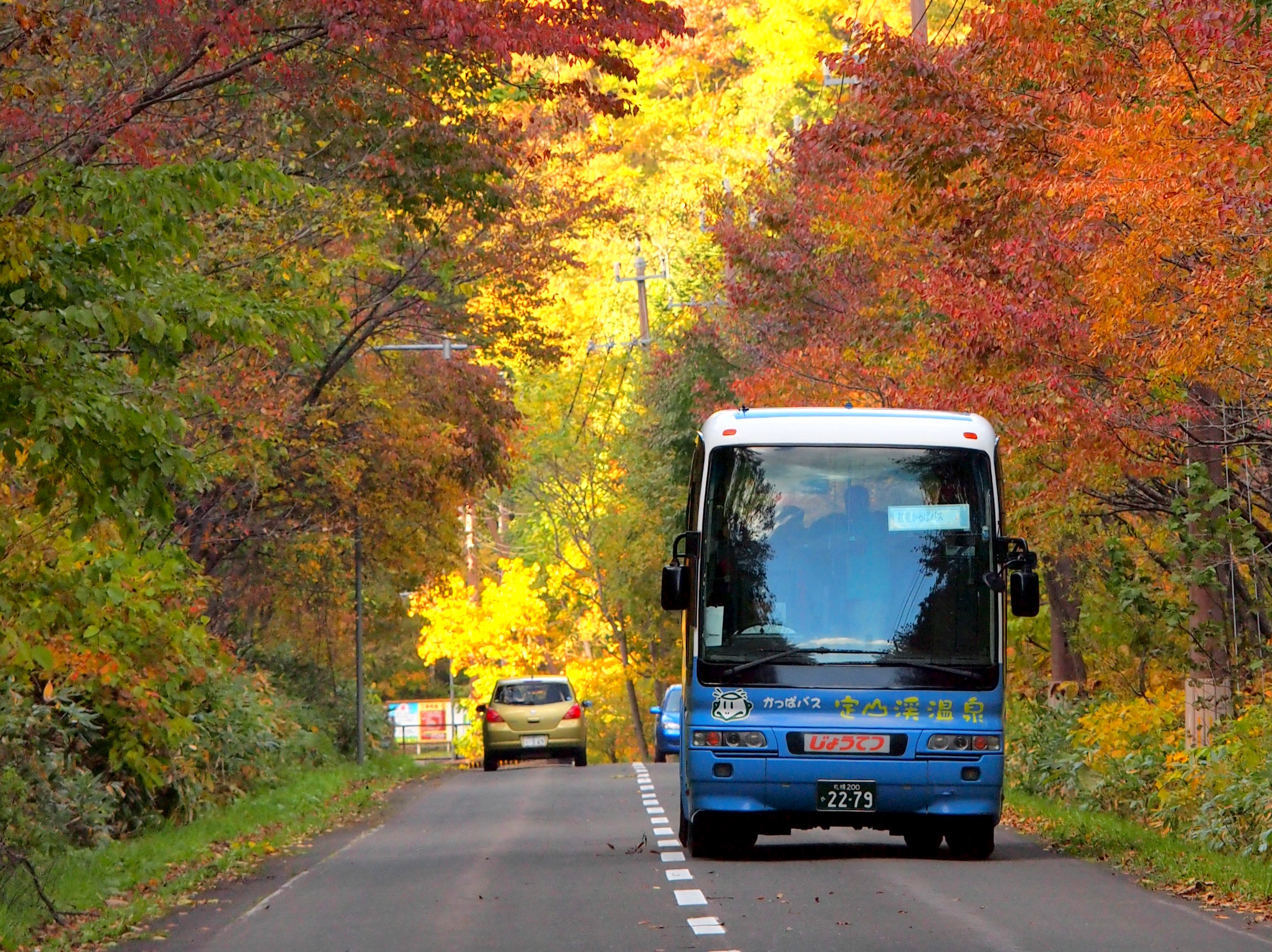 巡遊定山溪紅葉景點的「紅葉河童巴士」