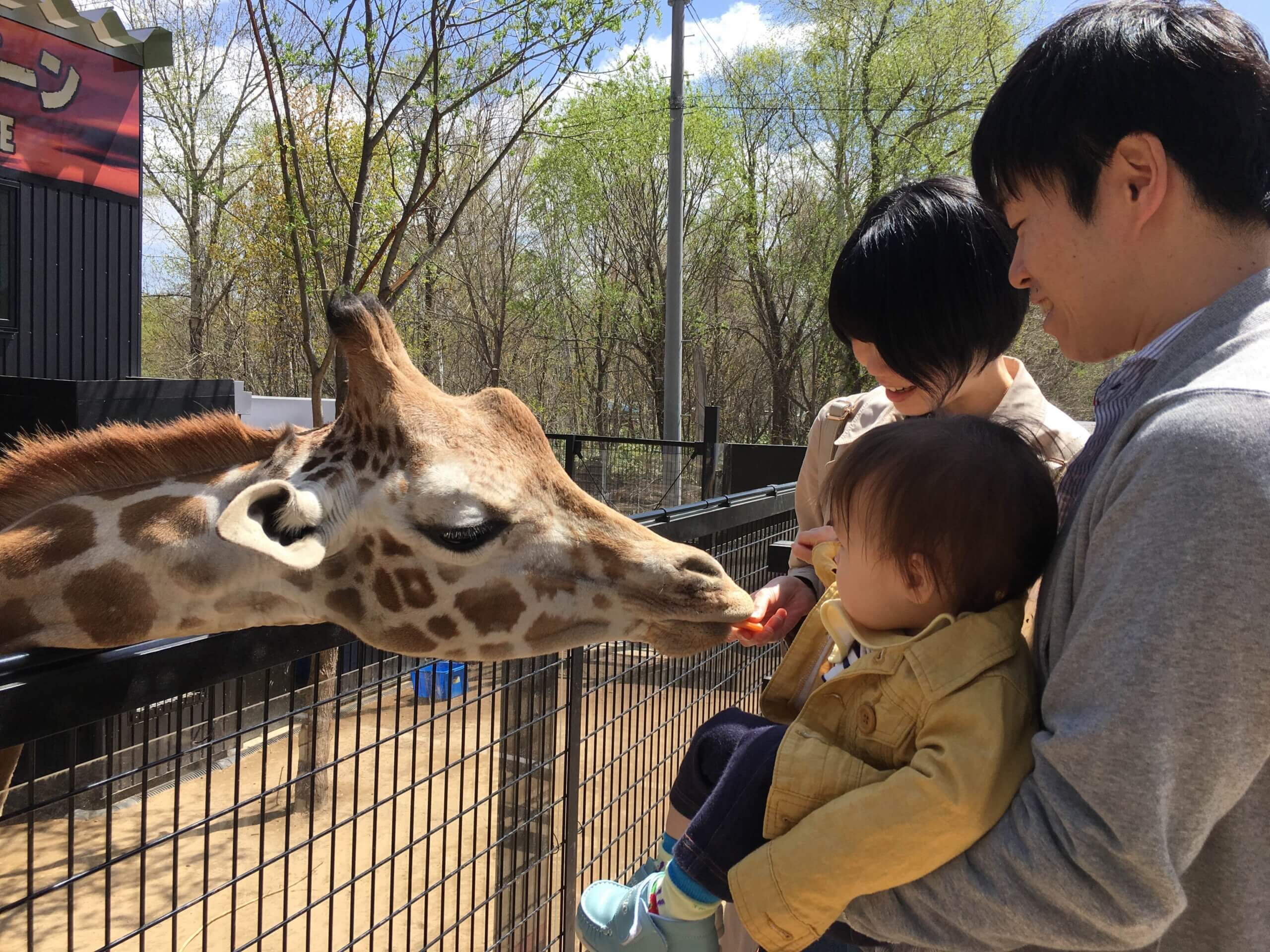 日本最危險的動物園「North Safari Sapporo」