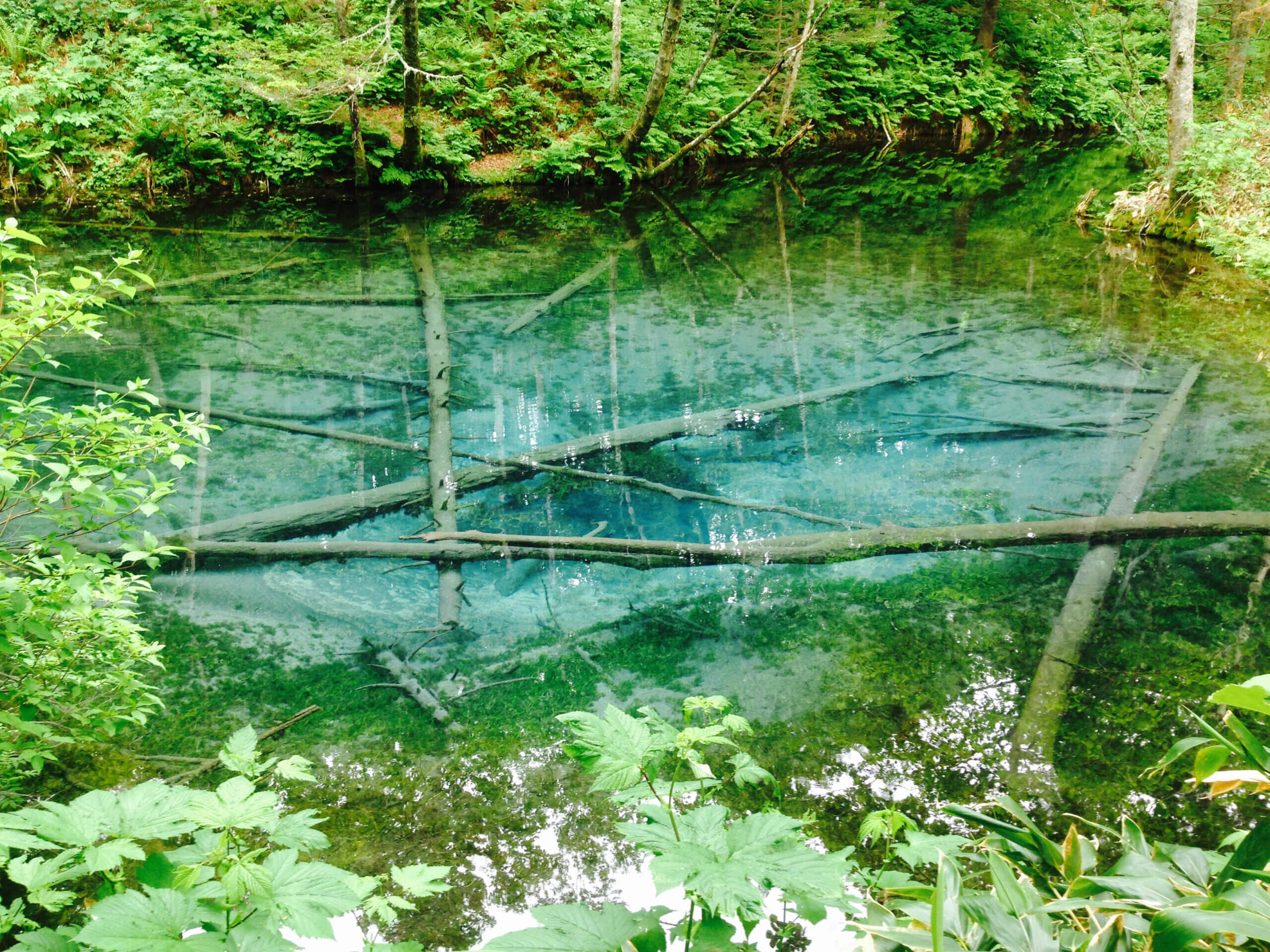 夏綠冬藍的神秘湖泊「神之子池」