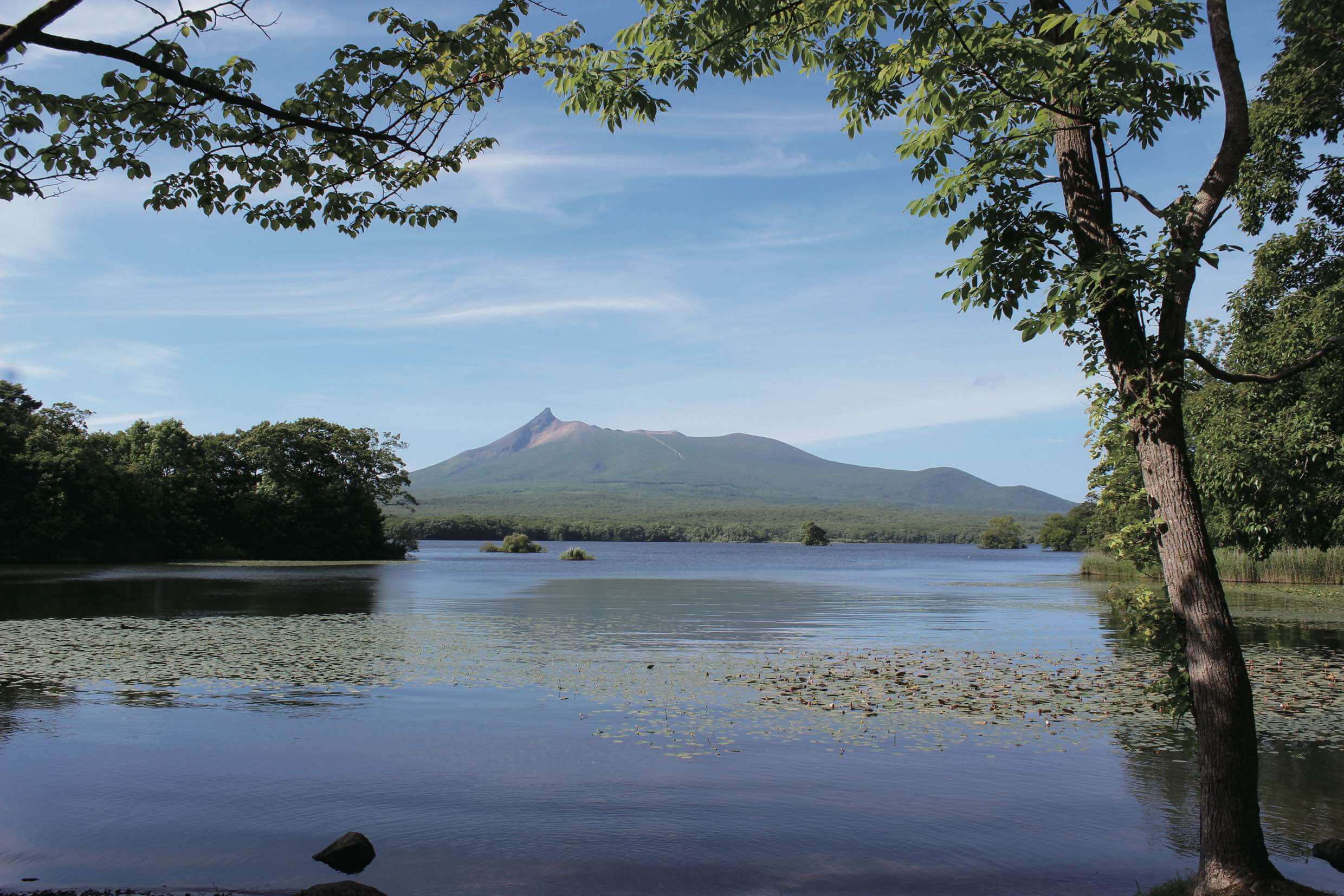 新日本三景之一的湖島群「大沼國定公園」