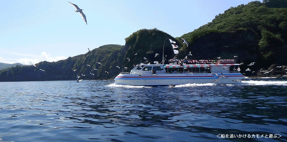 水中展望船新積丹號：乘船遊覽北海道海中公園