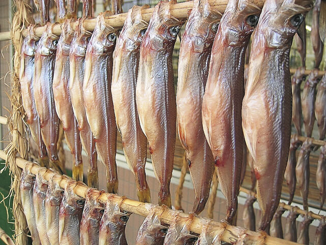 你不知道的美味食材：鵡川柳葉魚