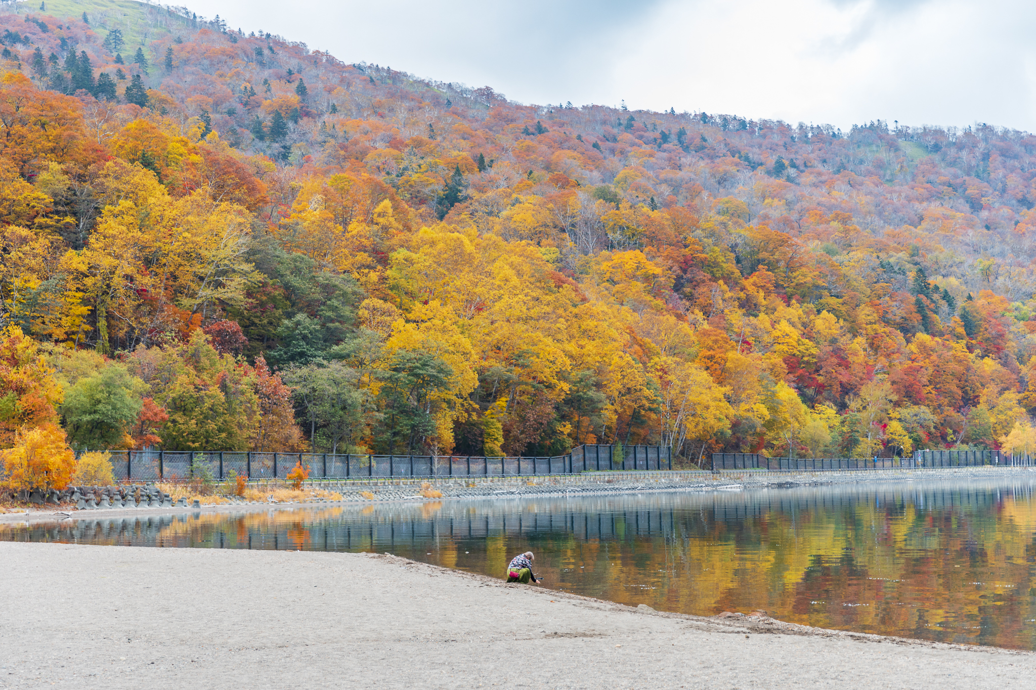 北海道擁有美麗紅葉景緻的湖泊與水池5 選 北海道官方旅遊網站hokkaido Love